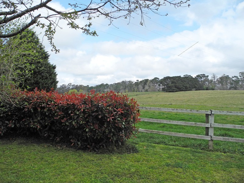 225 Ringwood Road, Exeter NSW 2579