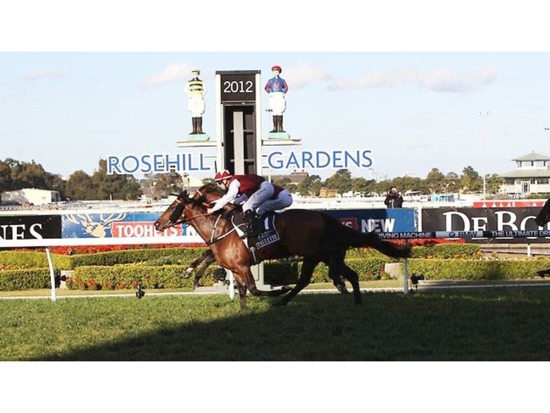 45 – 55 Virginia Street, Rosehill NSW 2142