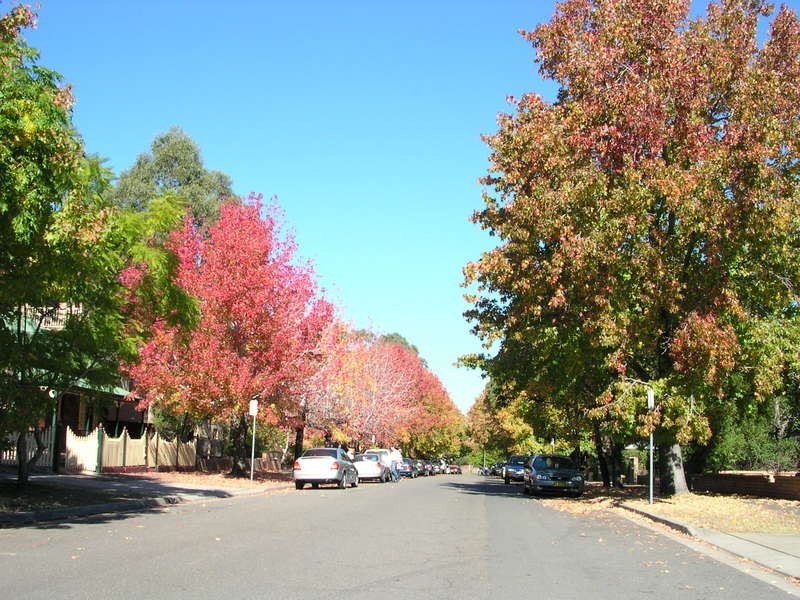 31  Galloway Street, North Parramatta NSW 2151