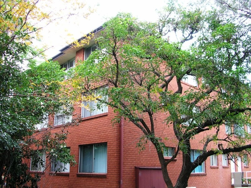 23 William Street, North Parramatta NSW 2151