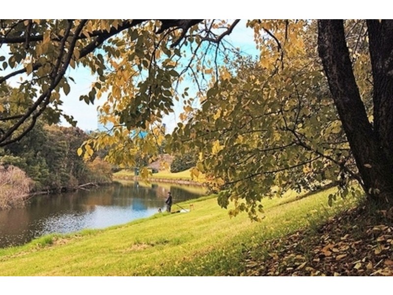 8 Cowper Street, Parramatta NSW 2150