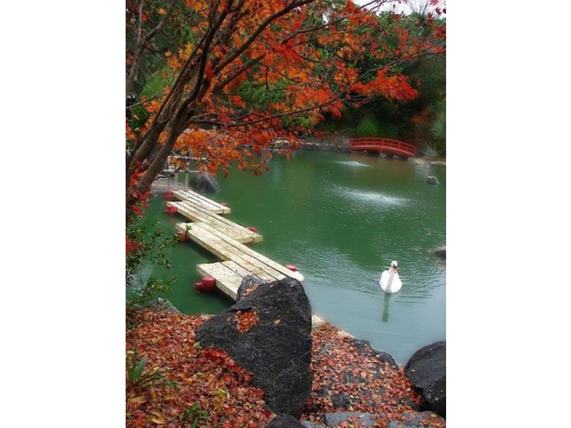 41 Carnegie Street, Auburn NSW 2144