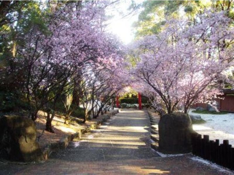 41 Carnegie Street, Auburn NSW 2144