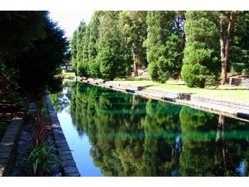 41 Carnegie Street, Auburn NSW 2144