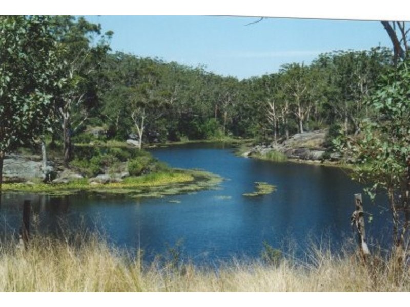 20 Bellevue Street, North Parramatta NSW 2151