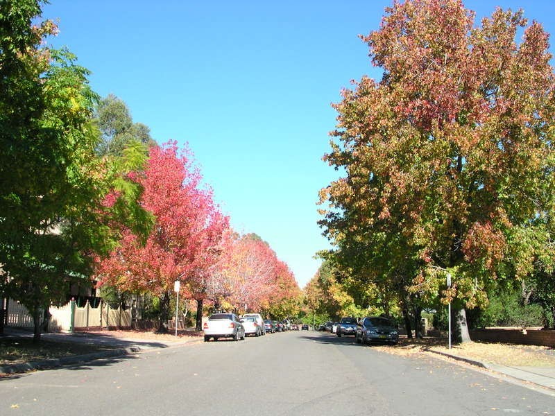 31  Galloway Street, Parramatta NSW 2150