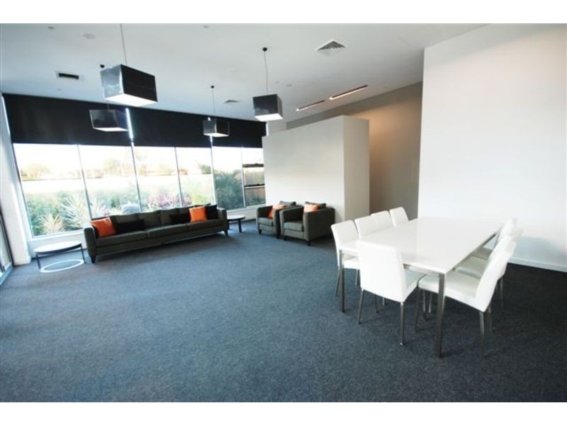 8 Cowper Street, Parramatta NSW 2150