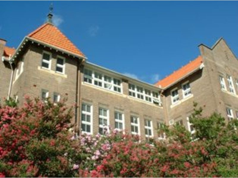 157 Hawkesbury Rd, Westmead NSW 2145