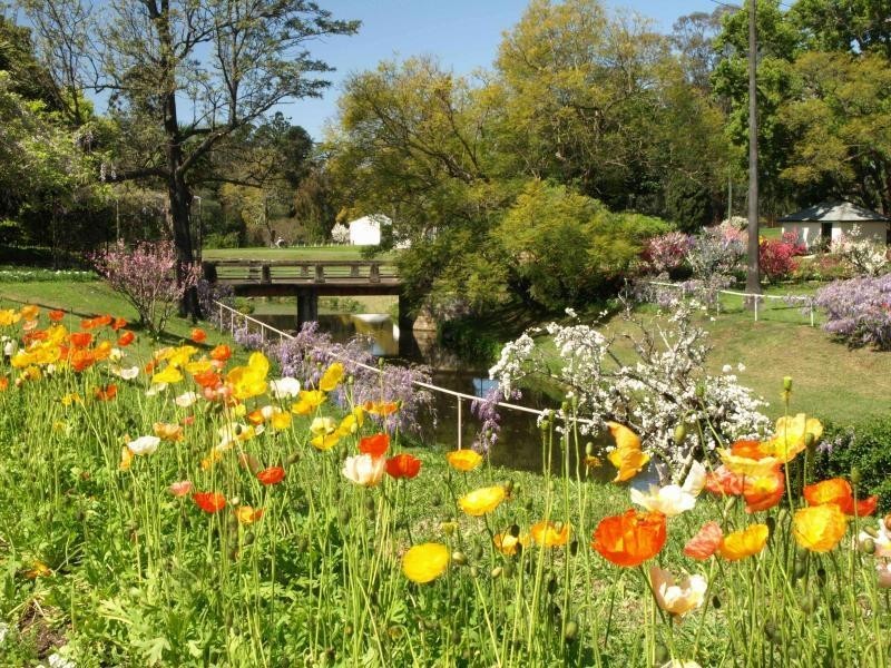 157 Hawkesbury Rd, Westmead NSW 2145