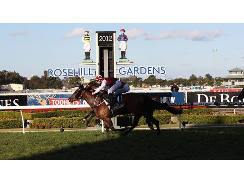 1-3 Virginia St, Rosehill NSW 2142