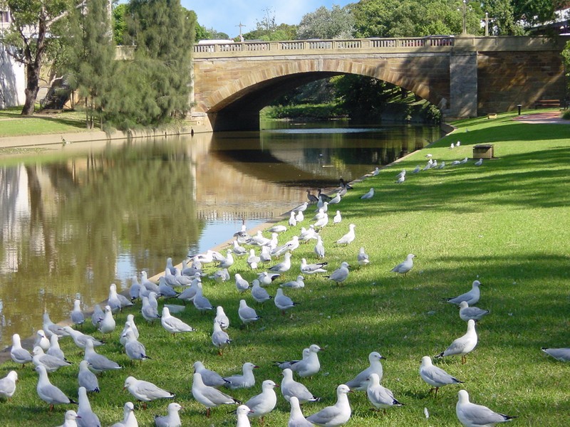 23 – 33 Napier Street, Parramatta NSW 2150