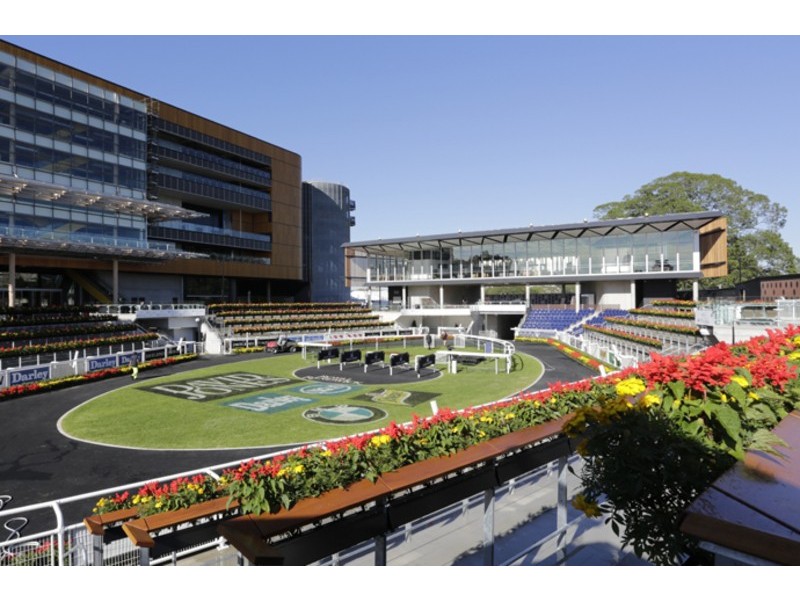 56 Arthur Street, Rosehill NSW 2142