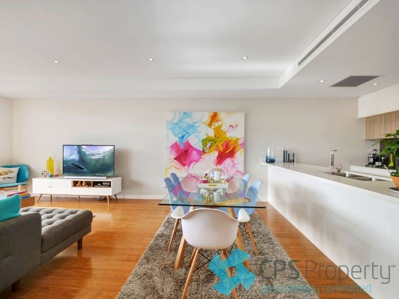 29/15-17 Fountain Street, Alexandria NSW 2015