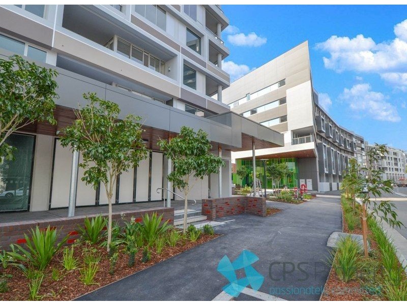 12/6a Defries Avenue, Zetland NSW 2017