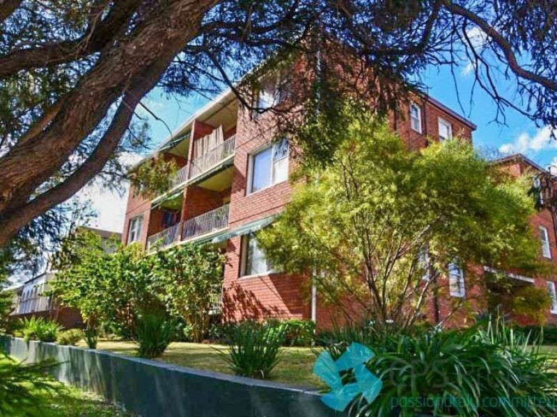 7/1 Blackwood Avenue, Ashfield NSW 2131