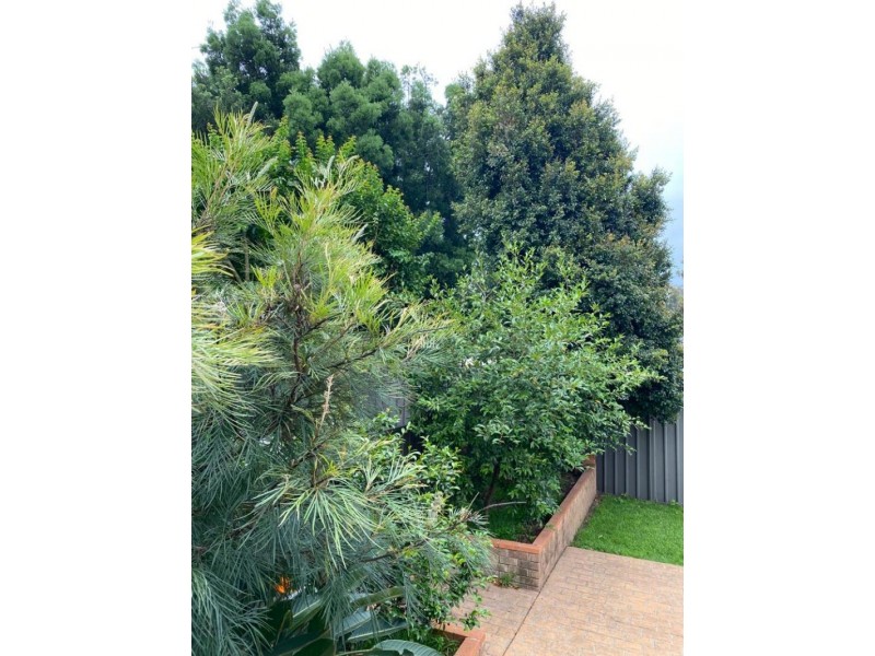 14 Warlencourt Ave, Milperra NSW 2214