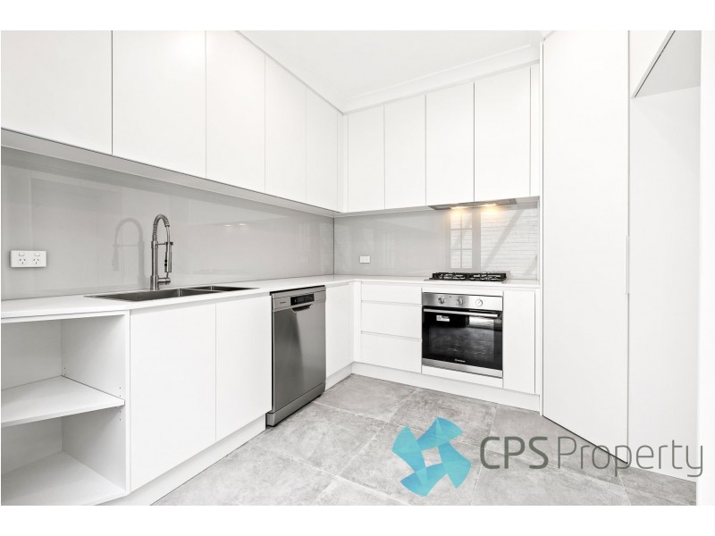 153 Wigram Rd, Glebe NSW 2037