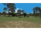 3 Pauline Street, Kingaroy QLD 4610