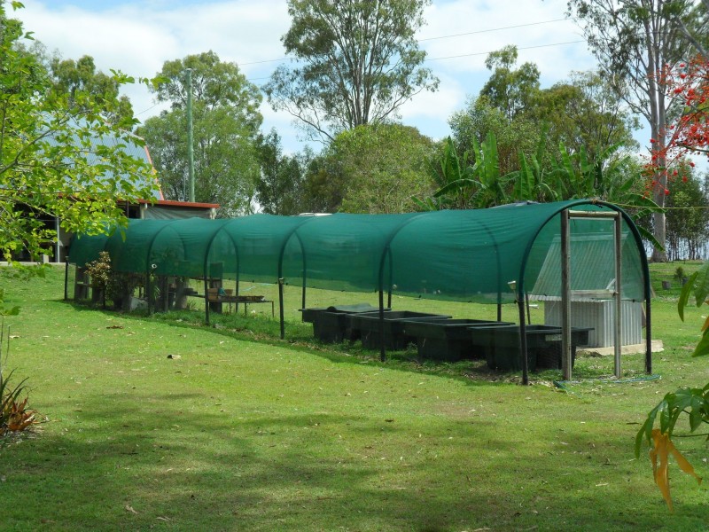 54 Halford Drive, Maroondan QLD 4671