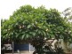 163 Halford Drive, Maroondan QLD 4671