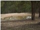 163 Halford Drive, Maroondan QLD 4671