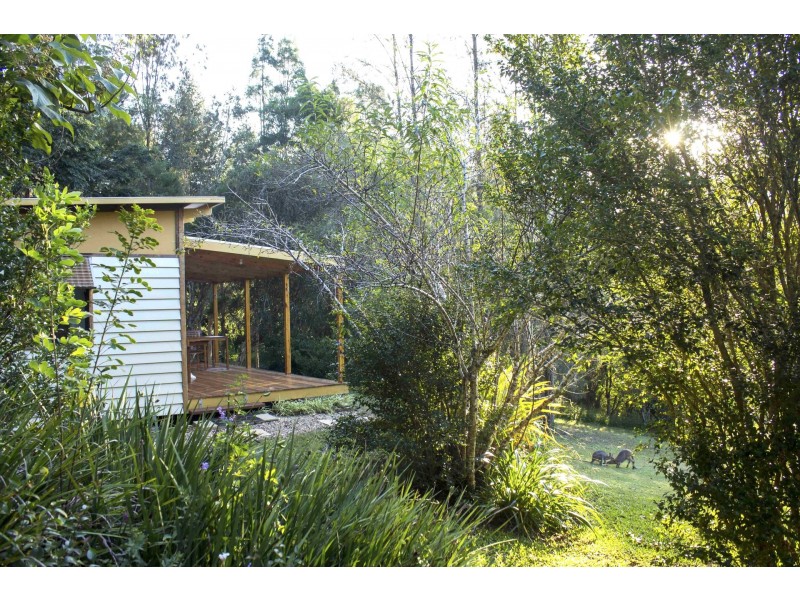 Conondale QLD 4552