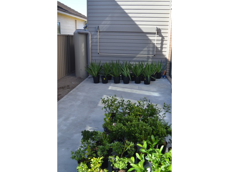 25 Wooroo Street, Albion Park Rail NSW 2527
