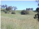 “Coglan”/3108 Limbri road, Weabonga NSW 2340