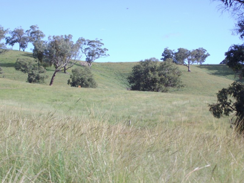 “Coglan”/3108 Limbri road, Weabonga NSW 2340