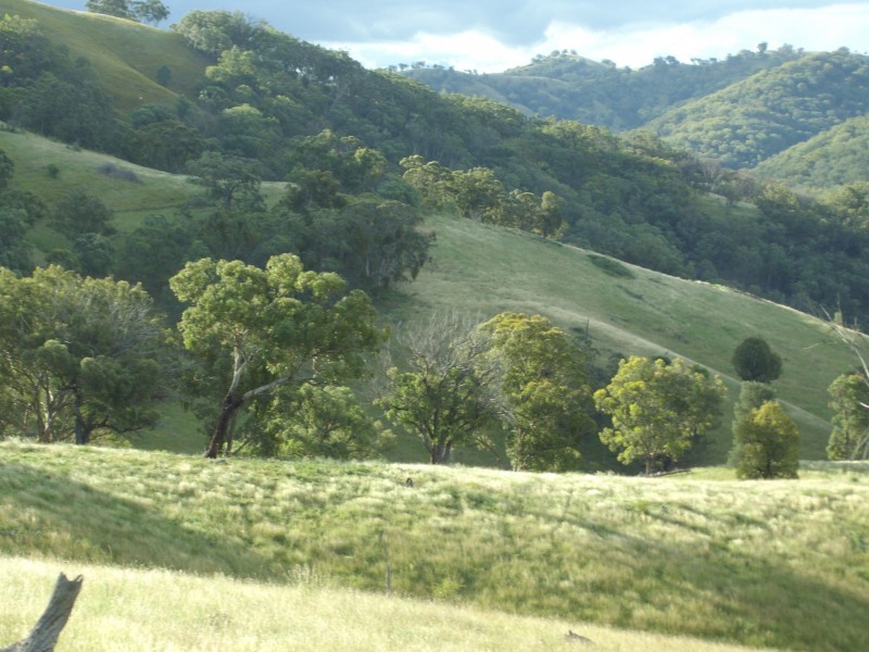 “Coglan”/3108 Limbri road, Weabonga NSW 2340