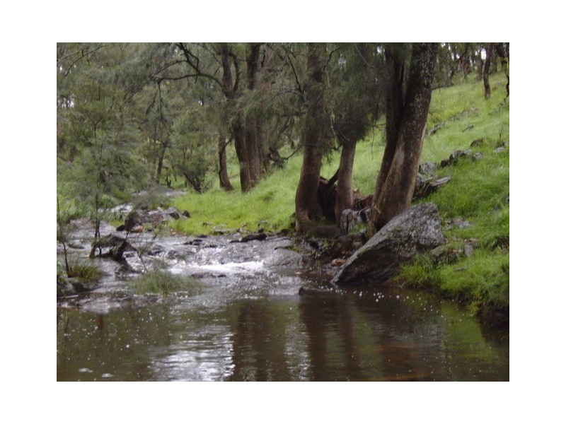 “Coglan”/3108 Limbri road, Weabonga NSW 2340