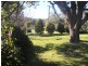 “Coglan”/3108 Limbri road, Weabonga NSW 2340