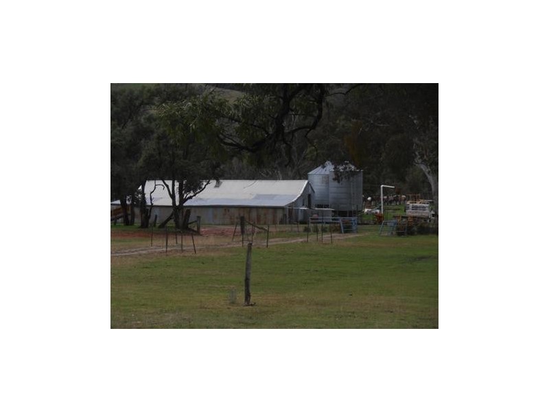“Coglan”/3108 Limbri road, Weabonga NSW 2340