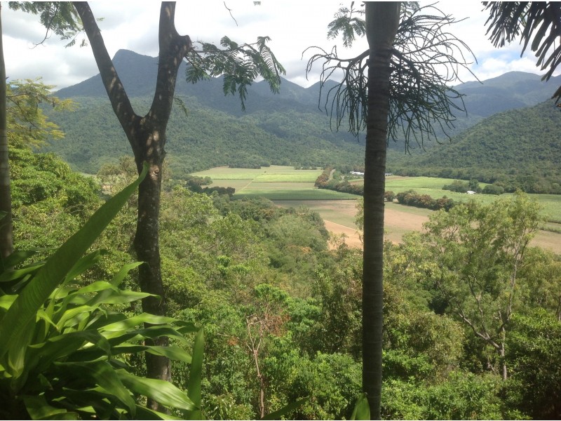 9-37 Gorge View Crescent, Mossman QLD 4873