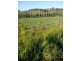 Lot 12 Pines Road, Edenville NSW 2474