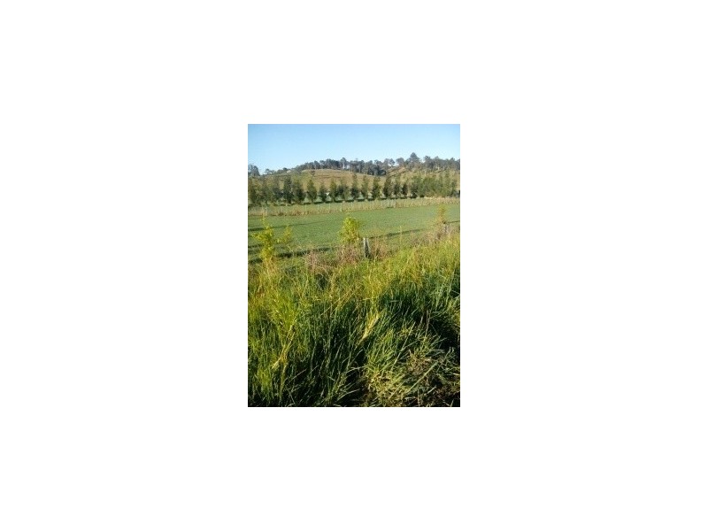 Lot 12 Pines Road, Edenville NSW 2474