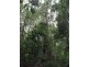 792 Maleny-Kenilworth Rd, Elaman Creek QLD 4552