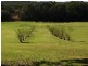 36 Kennedys Lane, Ewingsdale NSW 2481