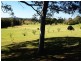 36 Kennedys Lane, Ewingsdale NSW 2481