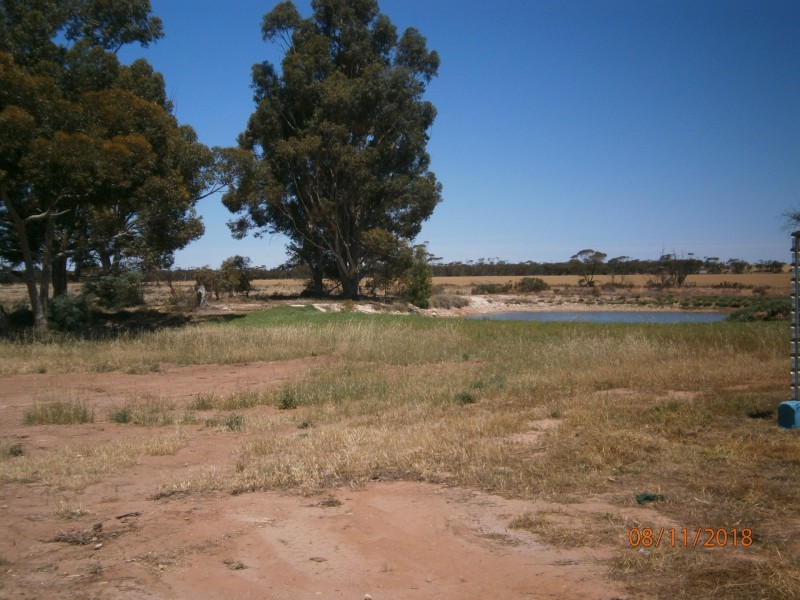 7a Nugent Road, Kimba SA 5641