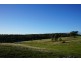 3225 Sunraysia Highway, Lexton VIC 3352