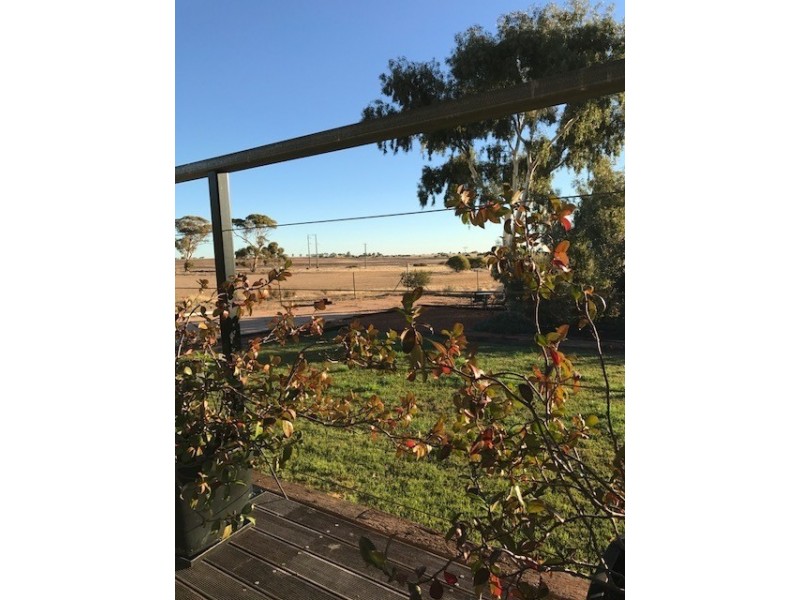 Lot 533 Cohn Street, Merredin WA 6415