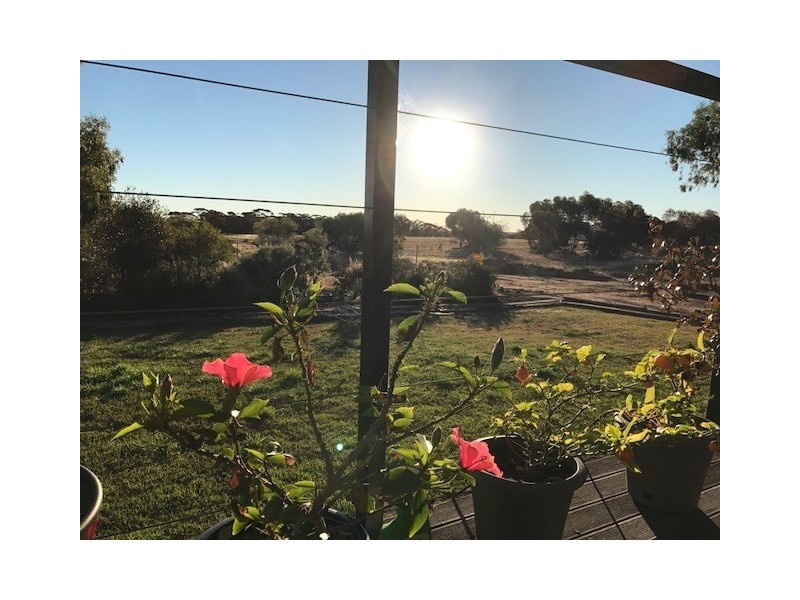 Lot 533 Cohn Street, Merredin WA 6415