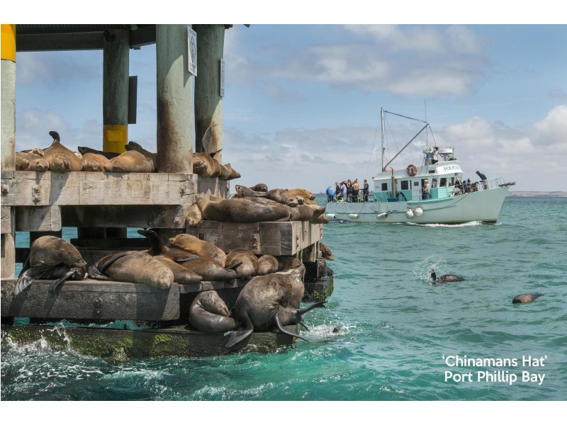 18 Half Moon Crescent, Indented Head VIC 3223