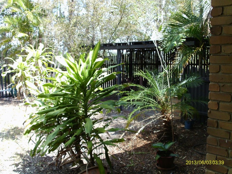 56 South Heath, Burrum River QLD 4659