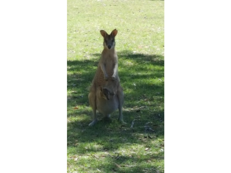 Lot 28 Doeblien Drive, South Stradbroke QLD 4216