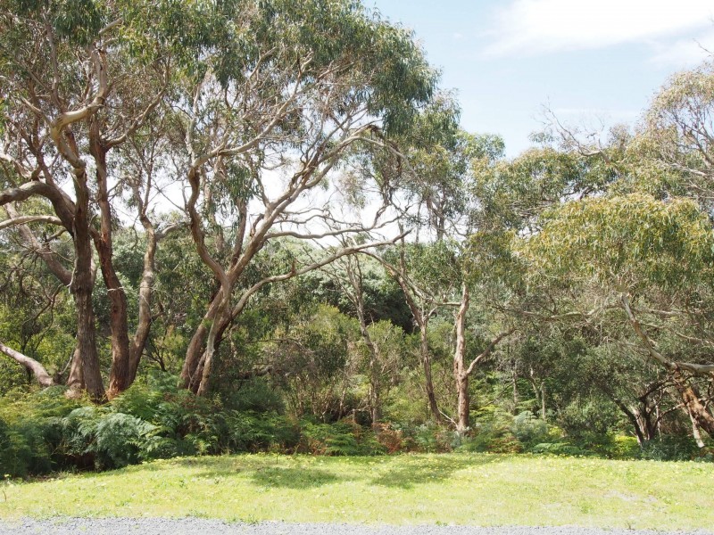 19 Wheeler Road, Cape Paterson VIC 3995