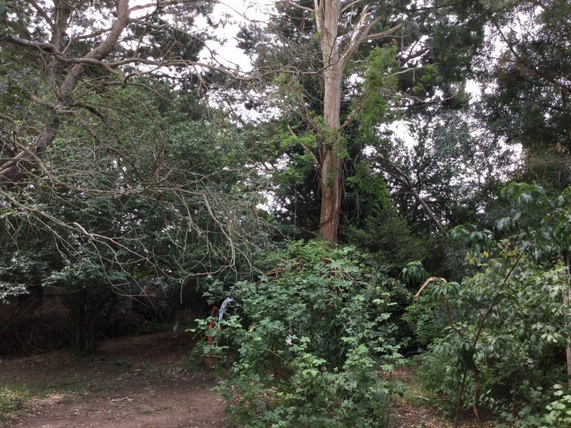 64 Park Rd, Bowral NSW 2576