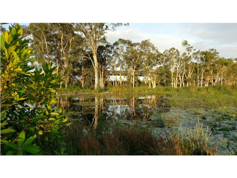 9 Harvey Lane, Meridan Plains QLD 4551