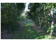 6 Highview Close, Farleigh QLD 4741